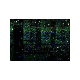 Kusama Green lit Infinity Mirror Room postcard front image